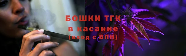 ECSTASY Новозыбков