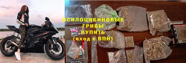 альфа пвп Новодвинск