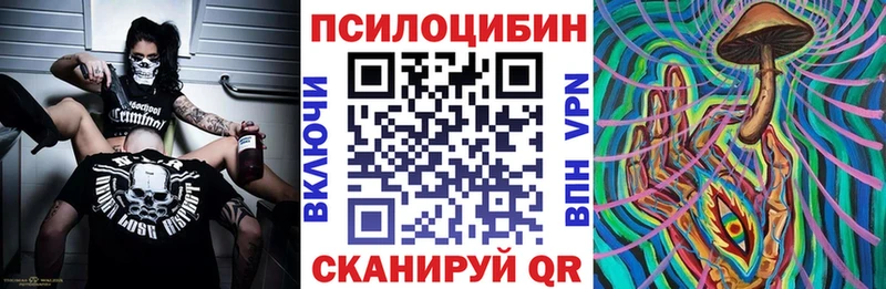 Псилоцибиновые грибы Psilocybe  Арсеньев 