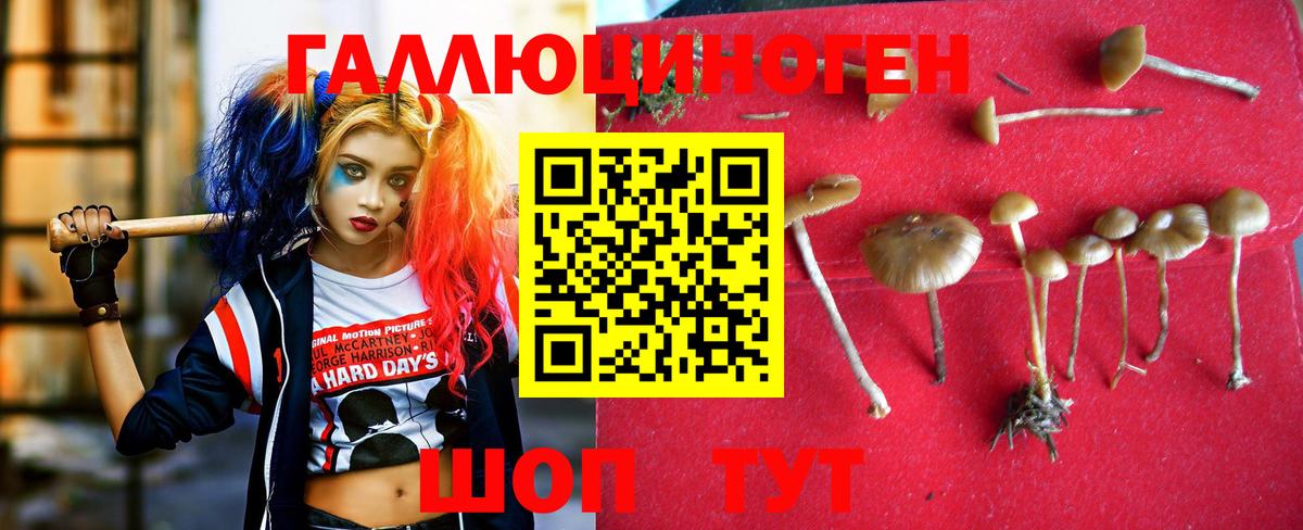 Арсеньев  Галлюциногенные грибы Magic Shrooms  Вход с VPN 